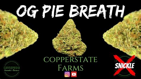 og pie breath strain|Guest Strain: OG Pie Breath